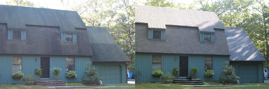 Roof Cleaning